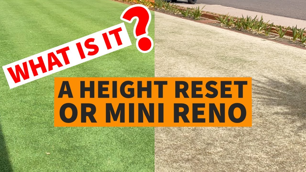 Late February height reset/ scalp, Scott Bonnar 45/ verticutter