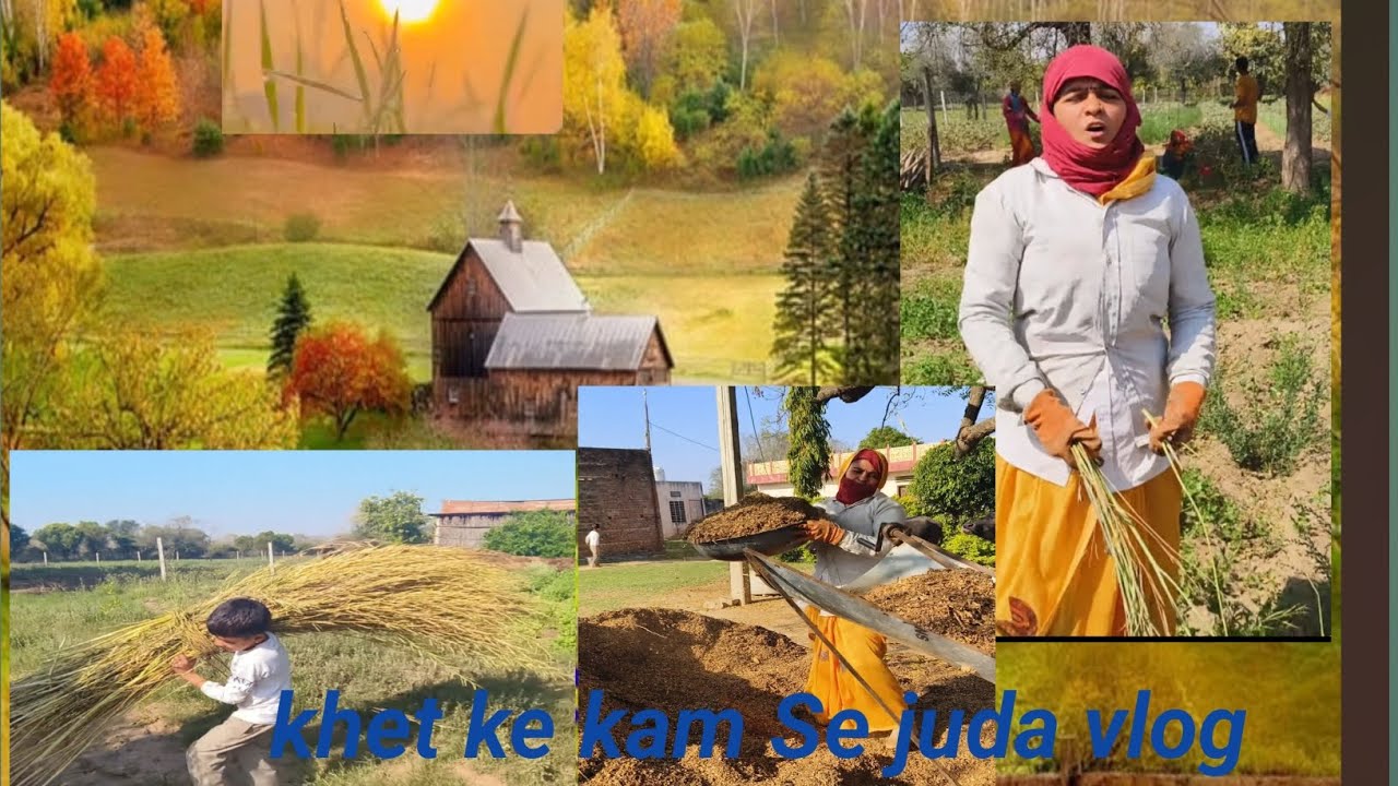 family Village Life Vlog / सरसों की कटाई 🌼 