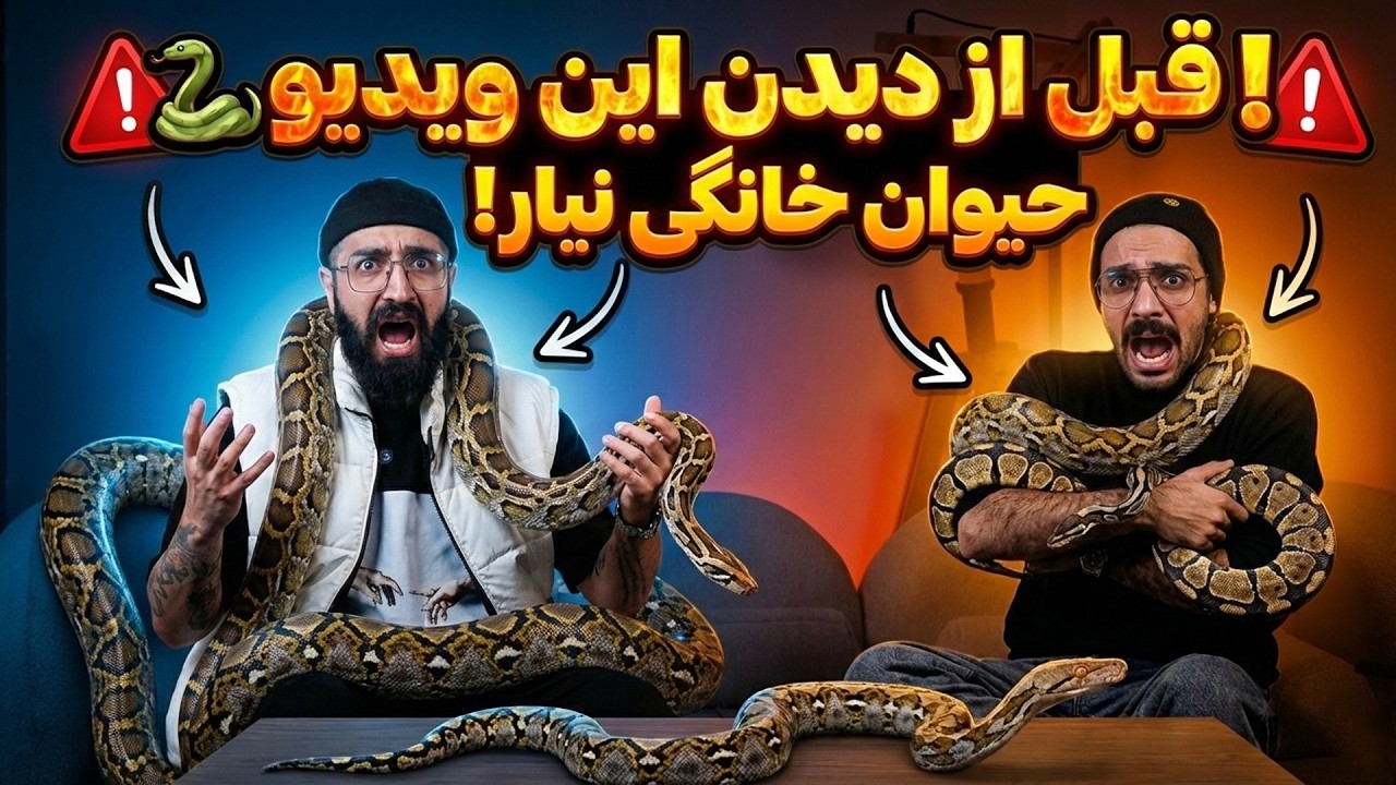 قبل از خرید حیوان خانگی اینو ببین! (خیلی‌ها پشیمون می‌شن…)