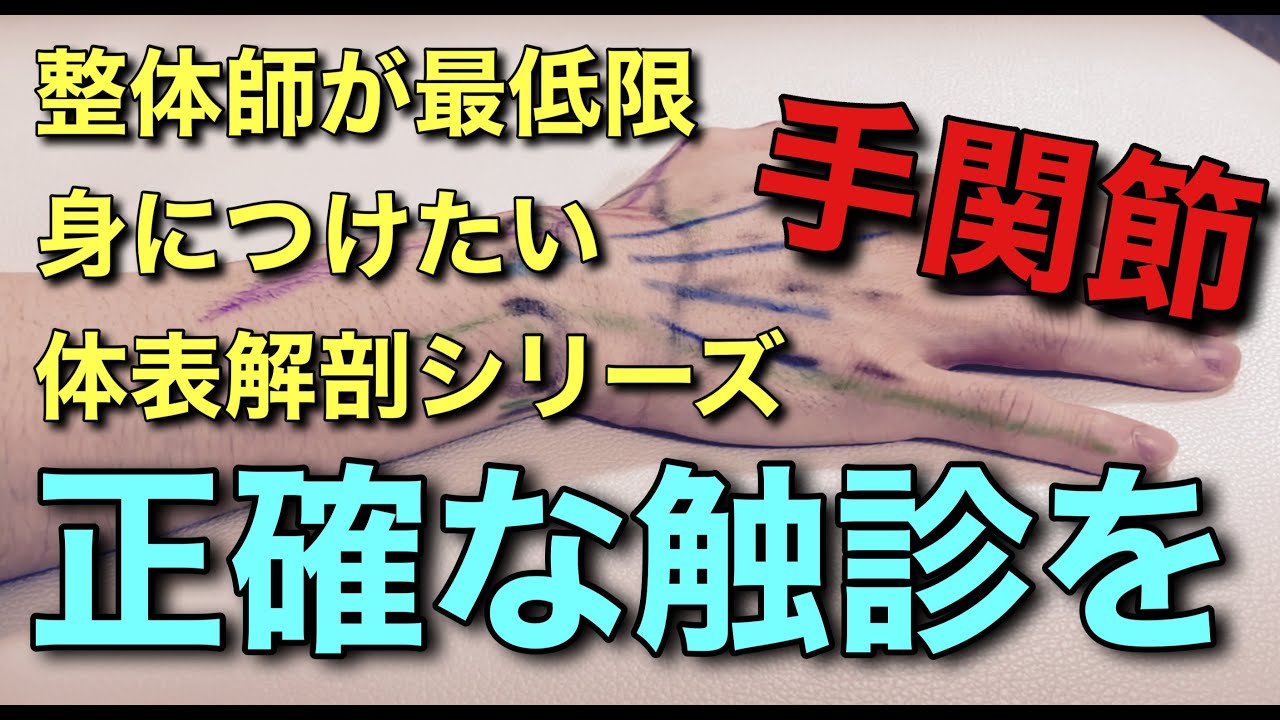 正確な手関節の触診を【メディカル整体アカデミー授業公開中】 #体表解剖シリーズ