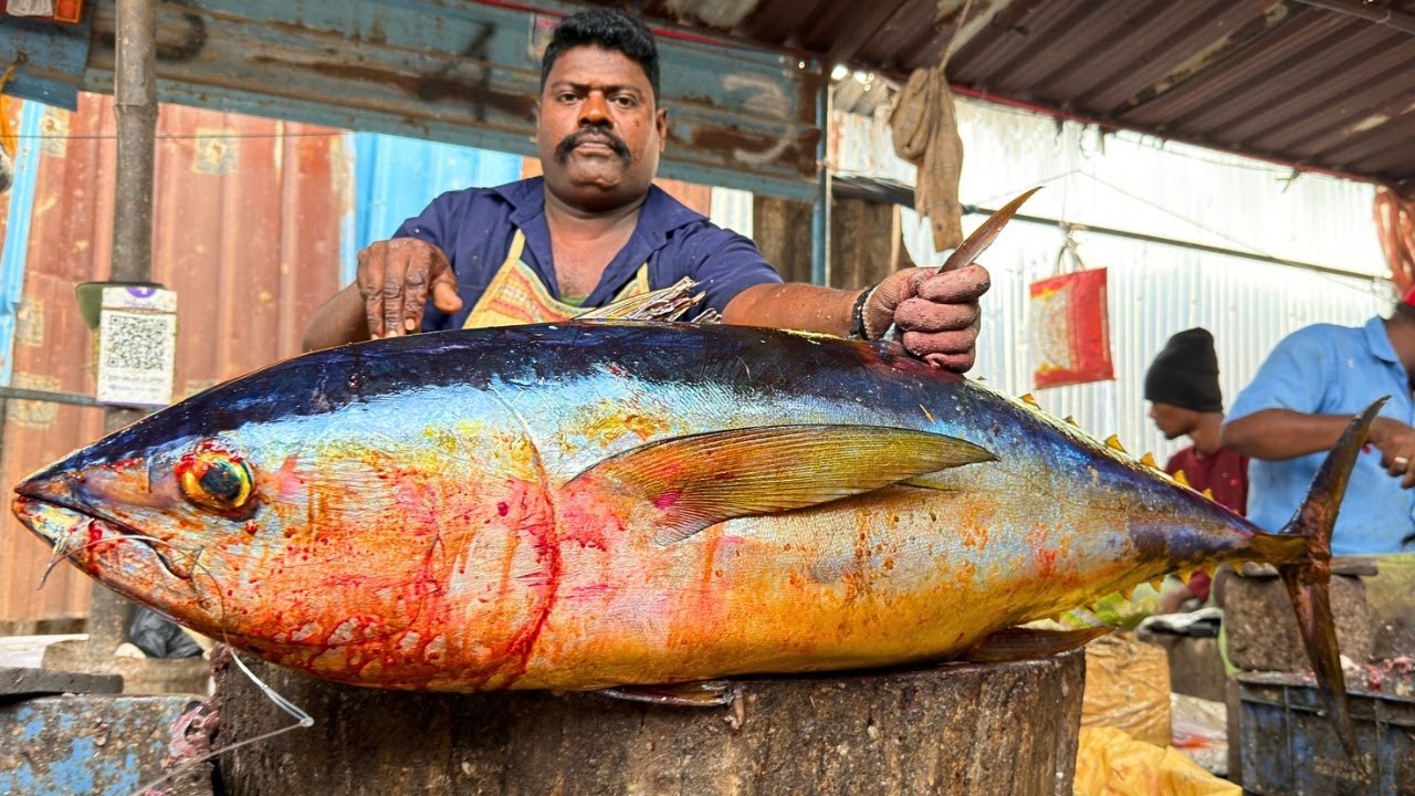 KASIMEDU SELVAM BIG TUNA FISH CUTTING | UK SONS MARINE 🇮🇳