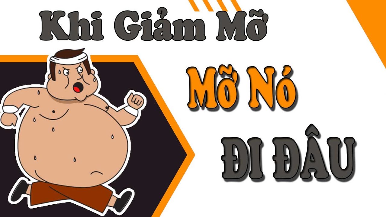 Khi Giảm Mỡ, MỠ SẼ ĐI ĐÂU, Quá Trình Giảm Mỡ II MB Nguyen Fitness