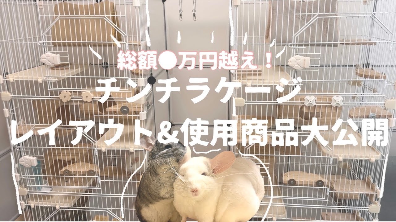 【ルームツアー】我が家のチンチラケージを紹介します！/キャットケージで作る
