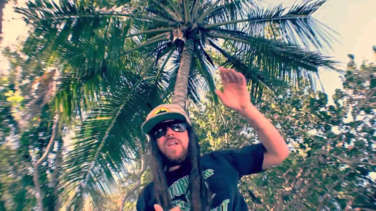 Jahricio feat  Jah Sun & Noah -  No Retreat (OFFICIAL VIDEO)