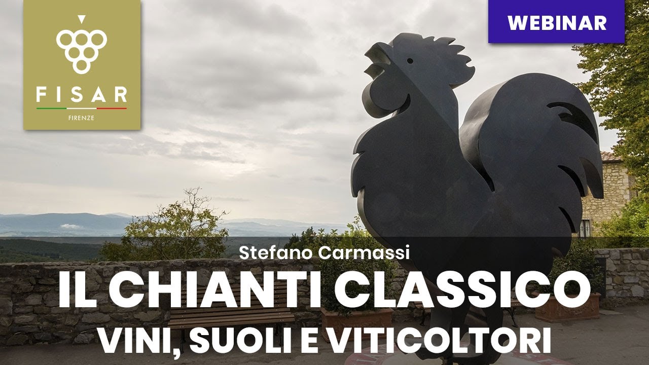 Il Chianti Classico - vini, suoli e viticoltori