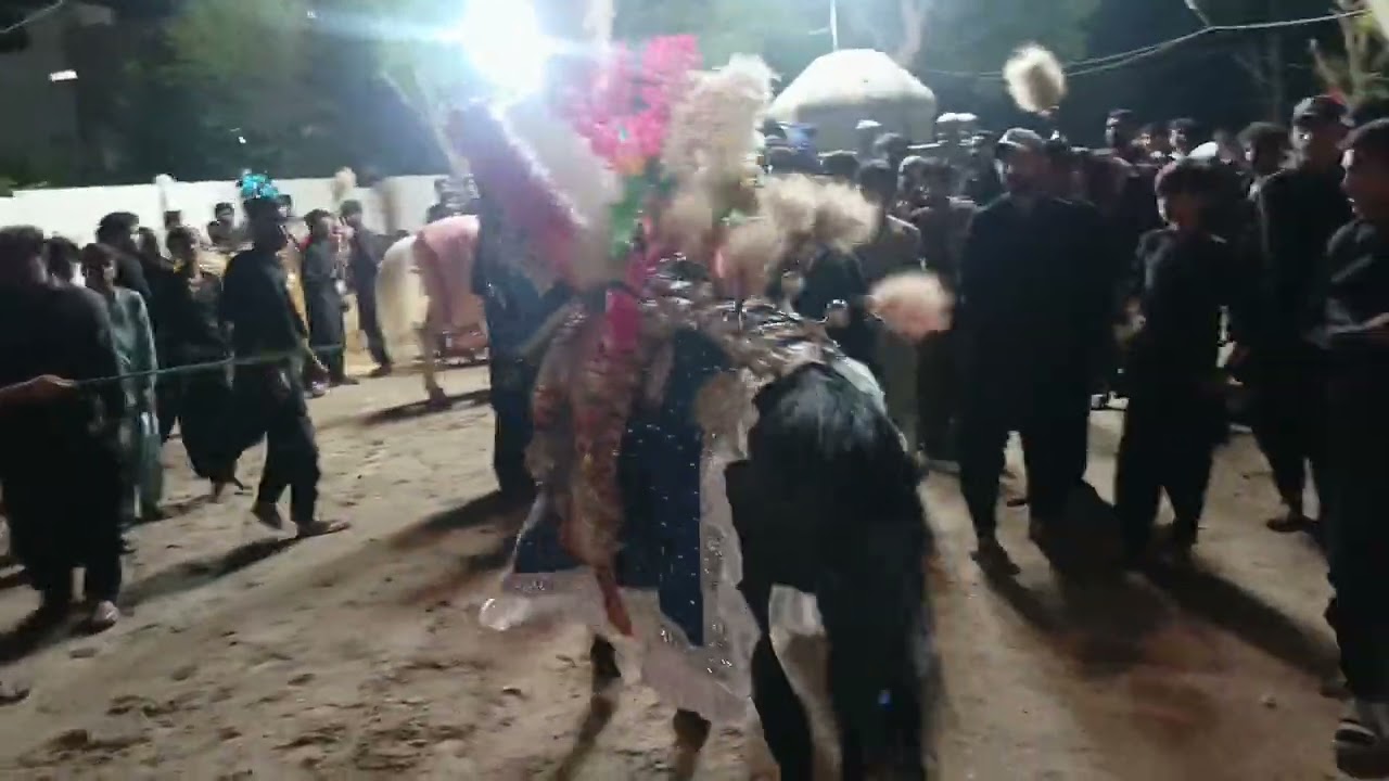 29 Muharram ul Haram 2025 Kotri Julos 