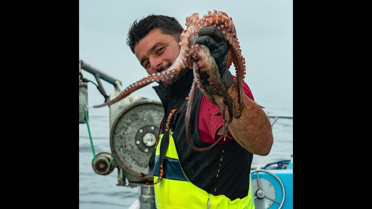 La pesca del pulpo