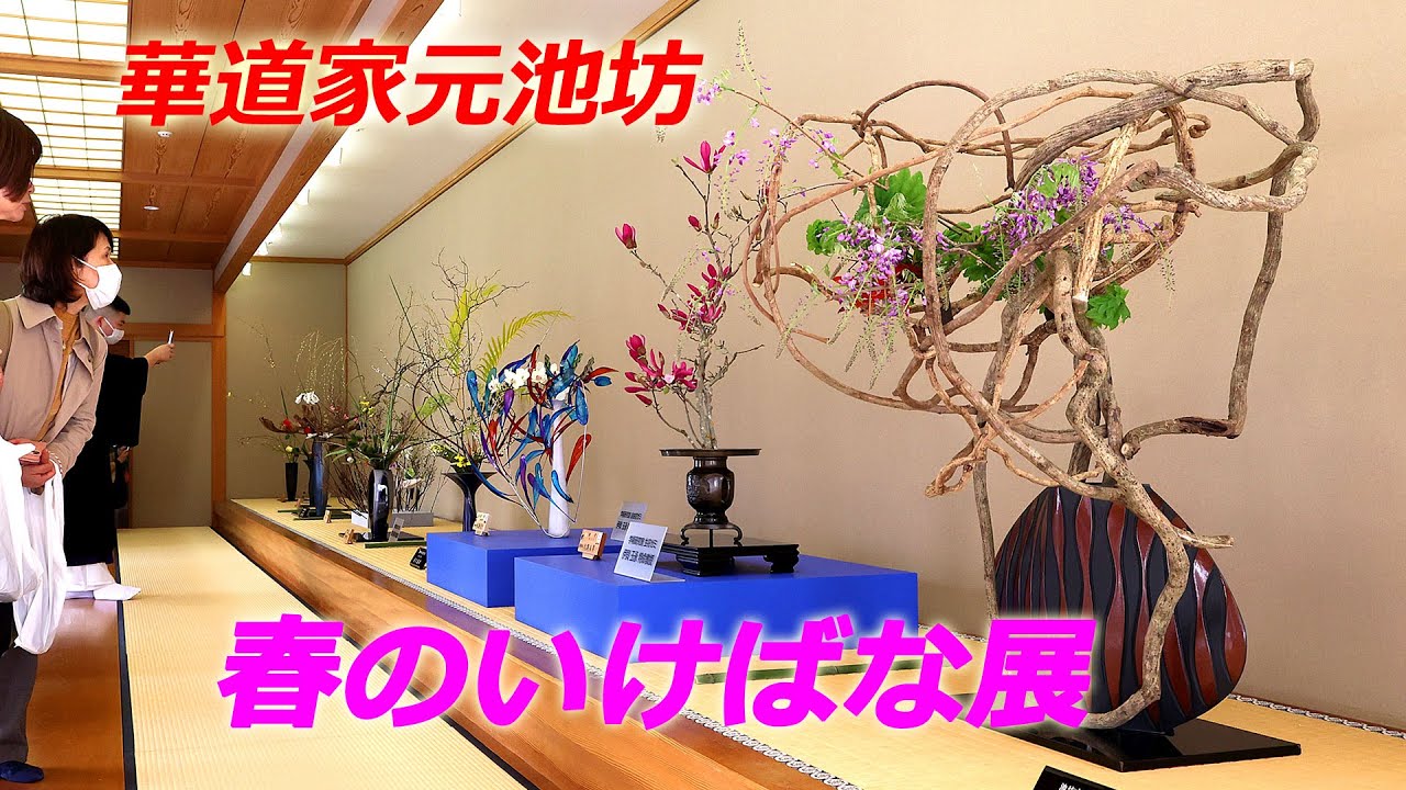 華道家元池坊・春のいけばな展（2024年3月15日　京都市中京区）　Flower arranger Ikenobo Spring Ikebana Exhibition