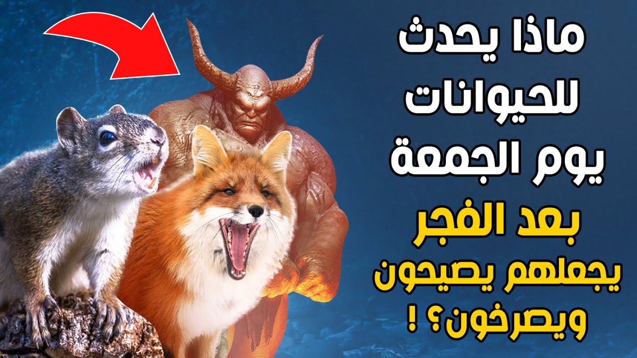 لماذا تصيح الحيوانات وتصرخ بقوة يوم الجمعة بعد الفجر؟ ماذا يحدث لهم! سر خطير يكشف لأول مرة