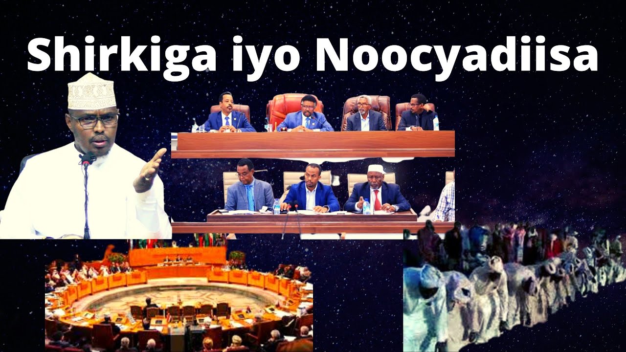 Shirkiga iyo dhibaatooyinkiisa Sh Xassaan