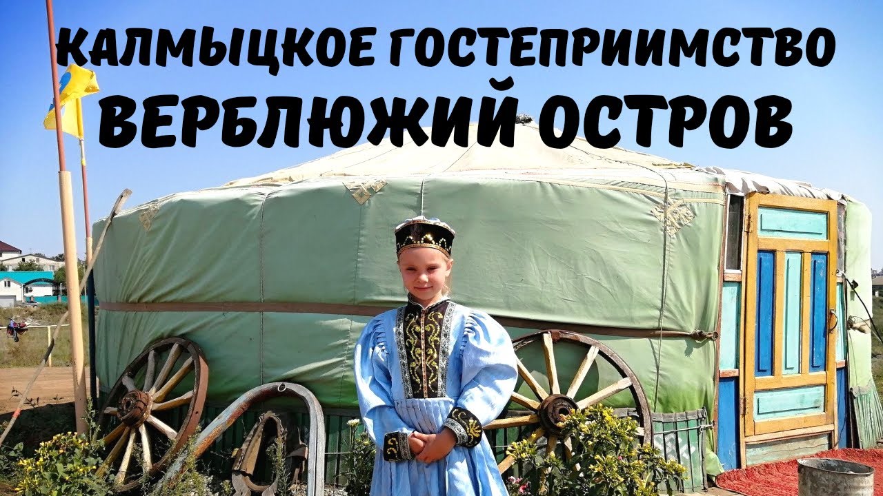 Настоящая Калмыкия! Элиста. Верблюжий Остров. Возрождение Традиционного Животноводства с Песнями!