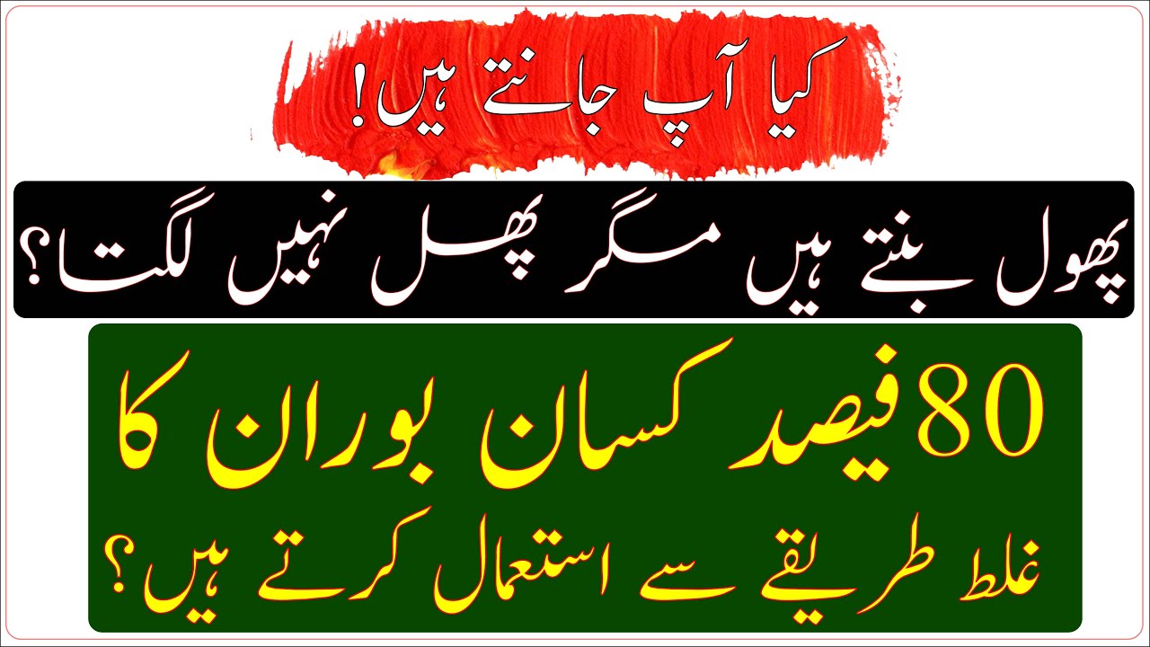 Use of boron in agriculture|use of boron in plants|how to use boron supplement|بوران سپرے کا طریقہ