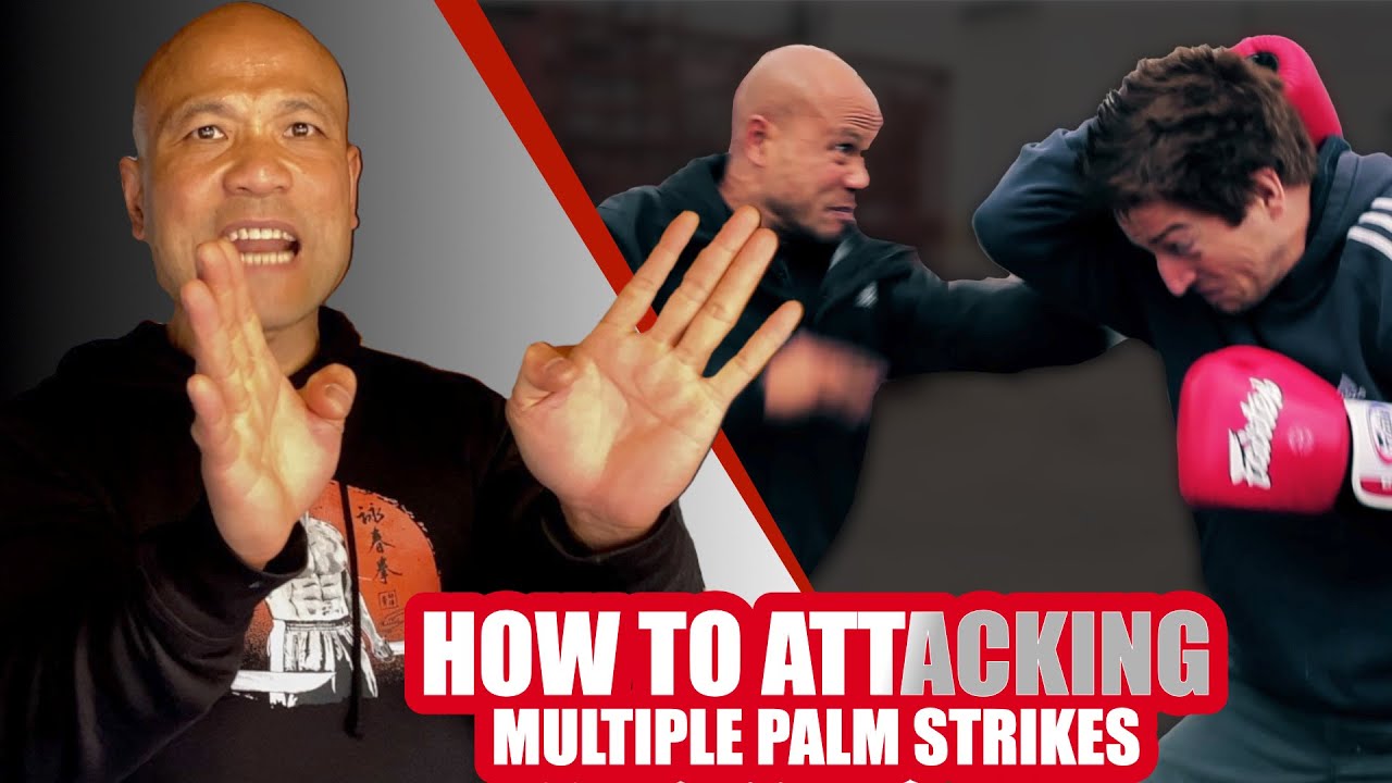 Using multiple palms to attack| Self Defence