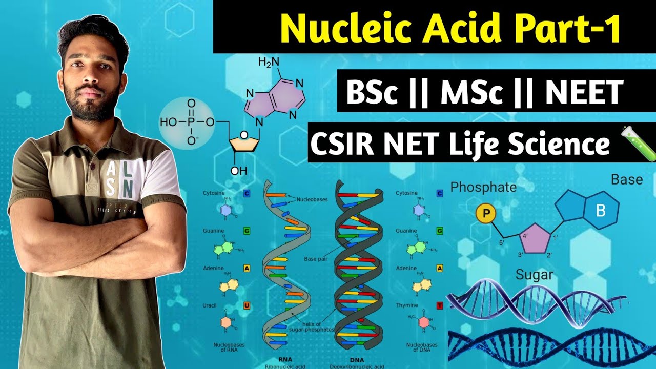 Nucleic Acid Part-1 || BSc || MSc || NEET || CSIR NET Life Sciences || MSc Entrance@biobooktag600