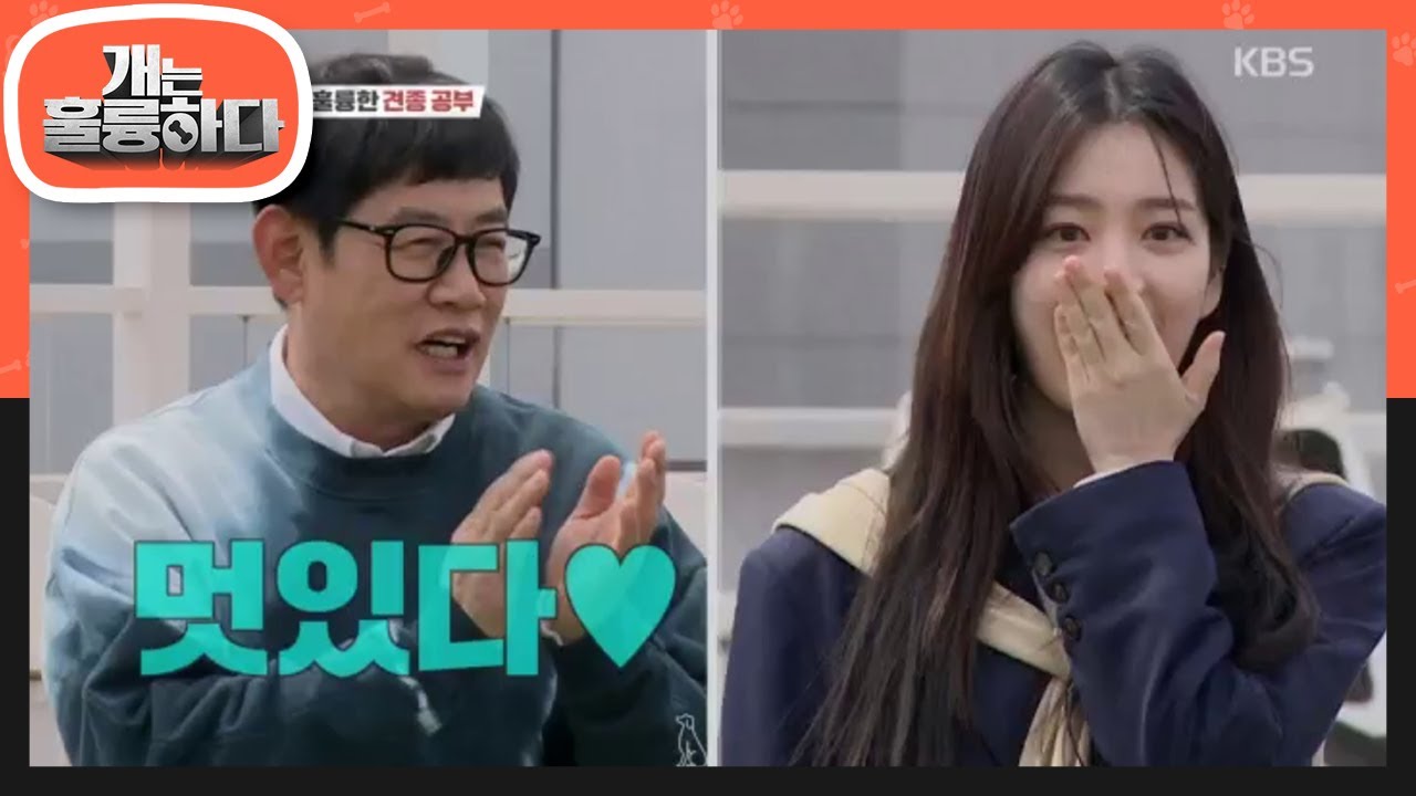 아~~오~~~ 규제자의 최애 견종 체코슬로바키안 울프독 등판!  [개는 훌륭하다/Dogs Are Incredible] 20200420