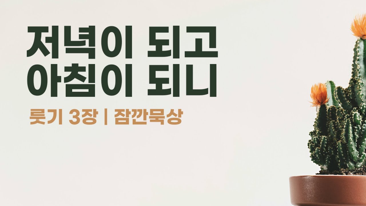 [잠깐묵상] 룻기 3장 | 낮보다 밝은 하나님의 밤