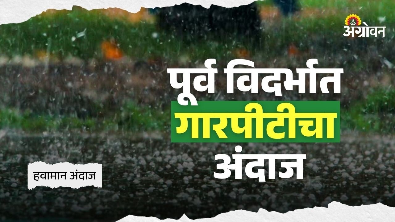 Garpit Andaj : राज्यातील ६ जिल्ह्यांमध्ये ४ दिवस पावसाची शक्यता | Agrowon