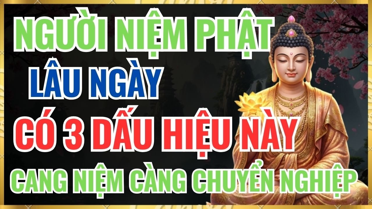 Phật Dạy: Người Thường Niệm Phật Sẽ Có 3 Dấu Hiệu Này – Càng Niệm Càng Chuyển Nghiệp.