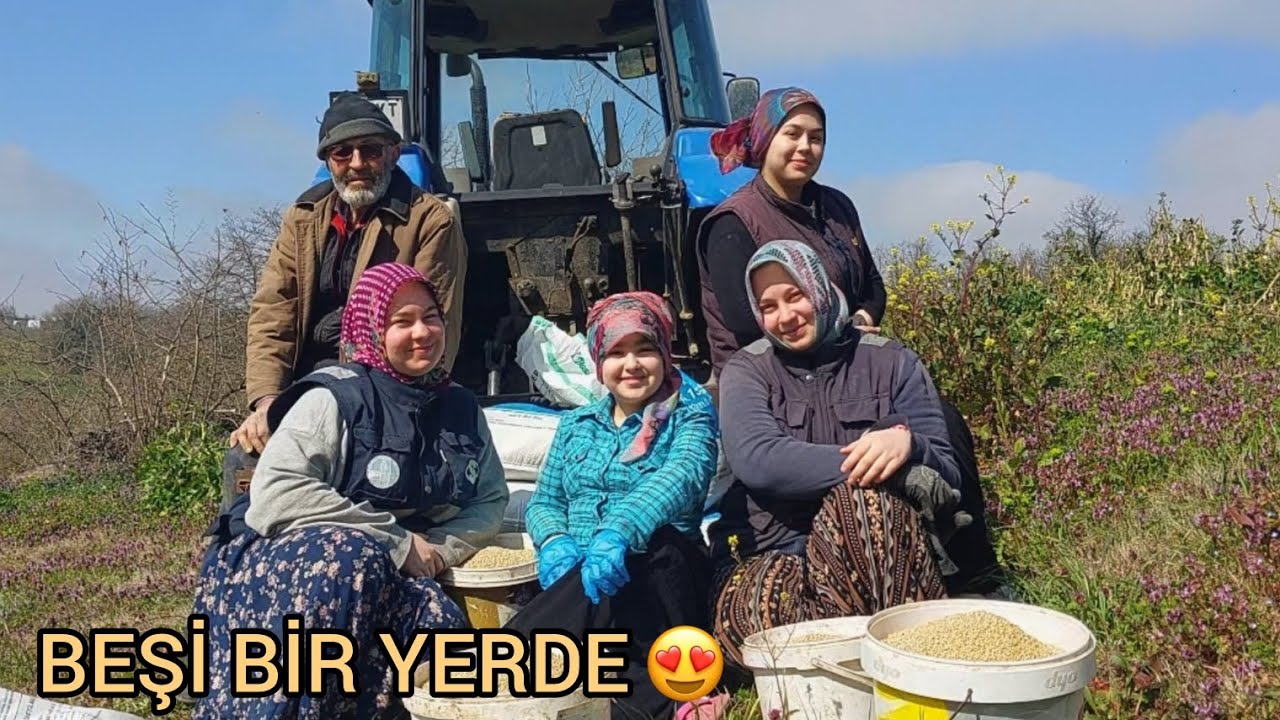 YAZ GELİYOR ☀️ FINDIKLARA GÜBRE ATTIK 🌰 KÖYDE BİR GÜN 👍🏻