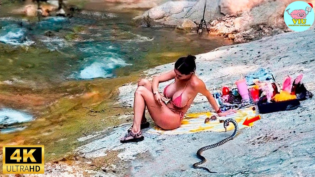 Momentos Increíbles Captados Por La Cámara #143 | Lo Mejor Del Mes