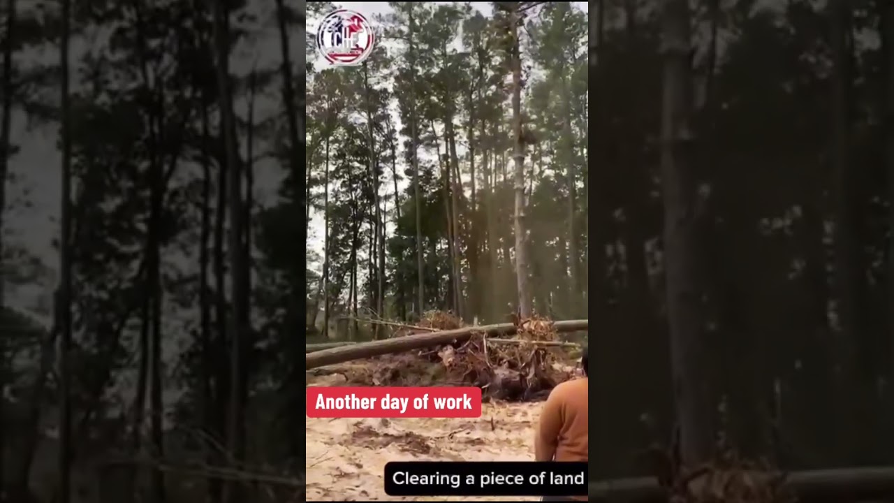 #pieceofland            #desbroce                            #clearing        #construction #viral