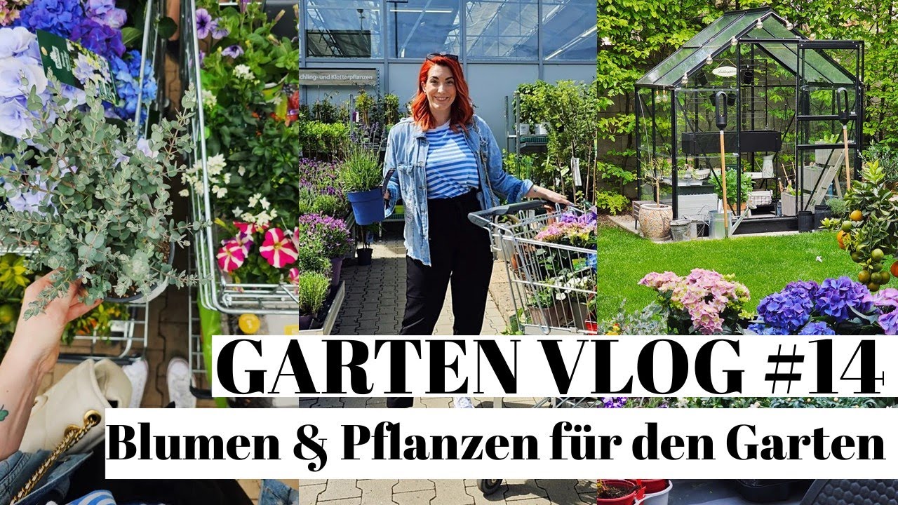 Garten Vlog #14: Blumen und Pflanzen f&uuml;r den Garten - Gartencenter Haul 2023 | Sabrina Sterntal