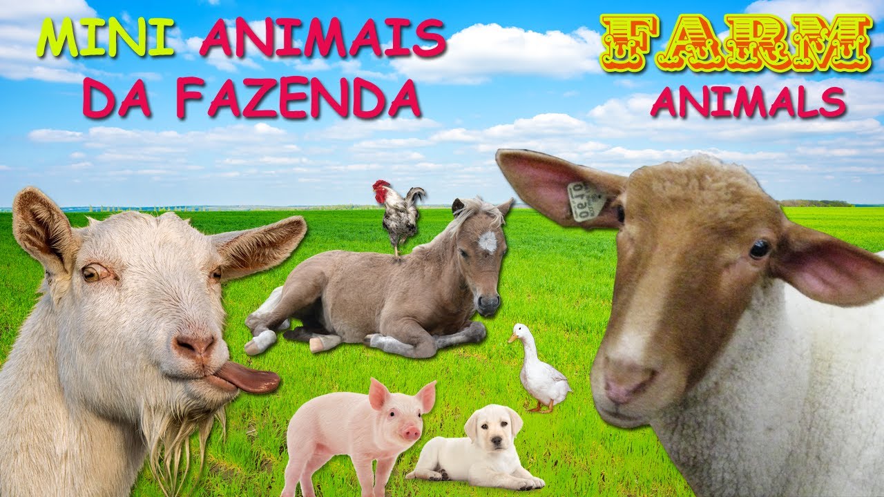 MINI ANIMAIS DA FAZENDA, Little Farm Animals , Cutest Farm Animals