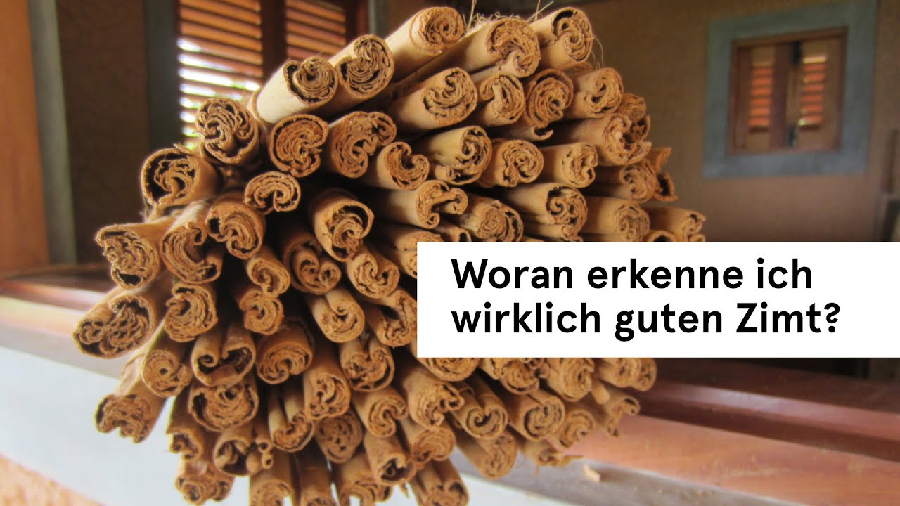 Woran erkenne ich guten Zimt? Welche Unterschiede gibt es? | Gewürztipps