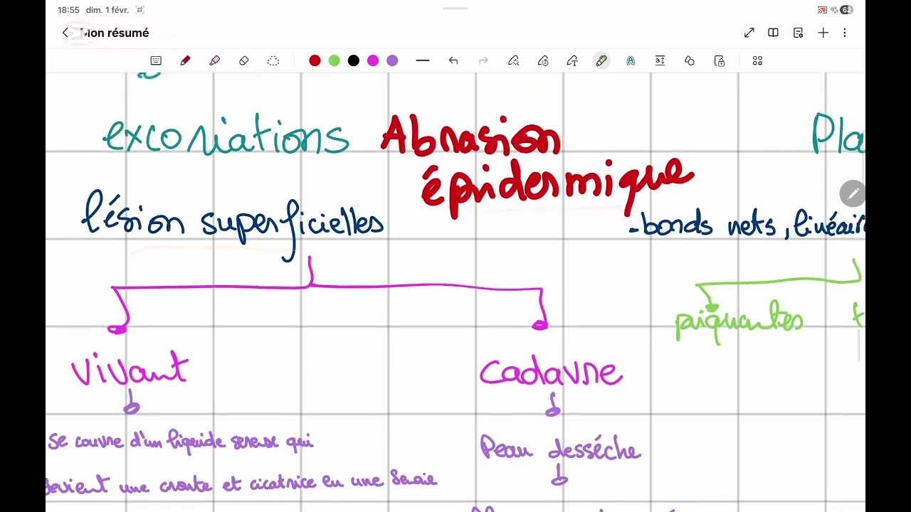 Coups et blessures 