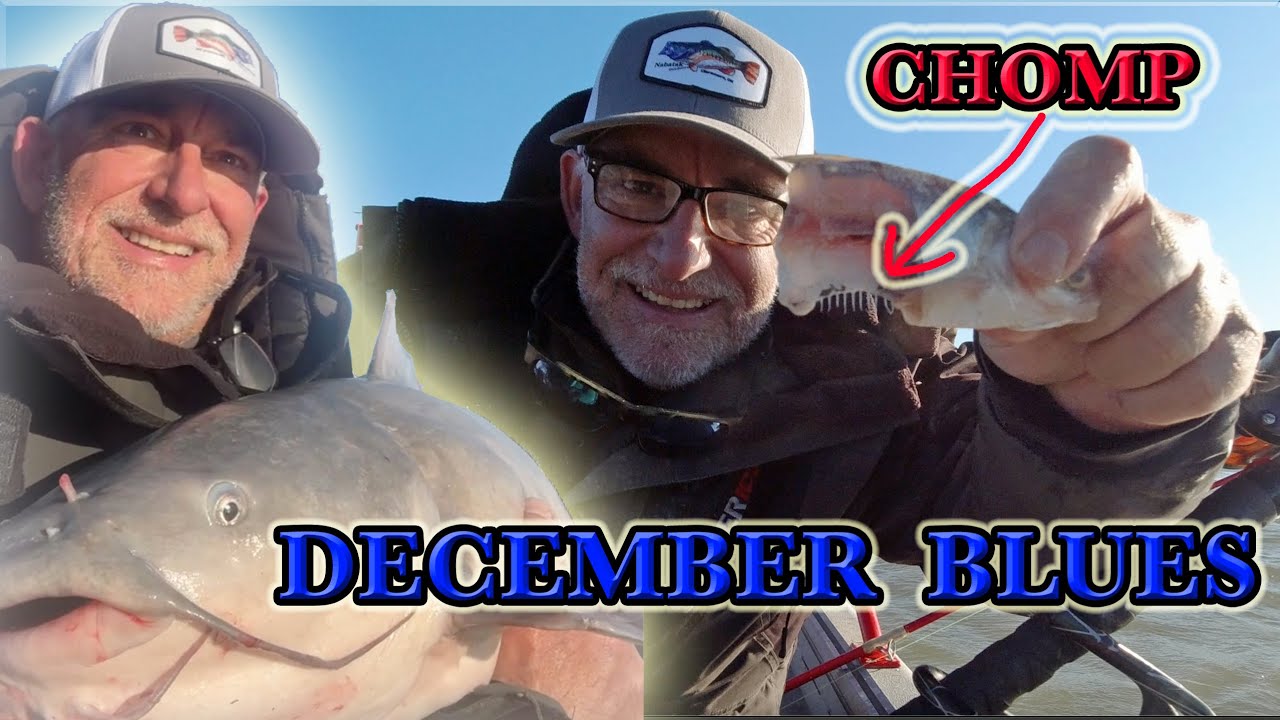 December Blues. Wintertime Catfishing Off Windy Points.