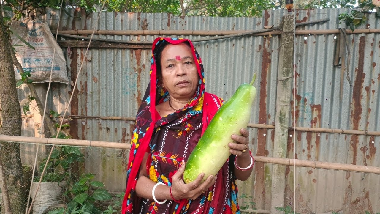 লাউ দিয়ে শোল মাছের তরকারি । লাউ দিয়ে টাকি মাছের তরকারি । লাউ দিয়ে মাছের তরকারি । লাউ তরকারি