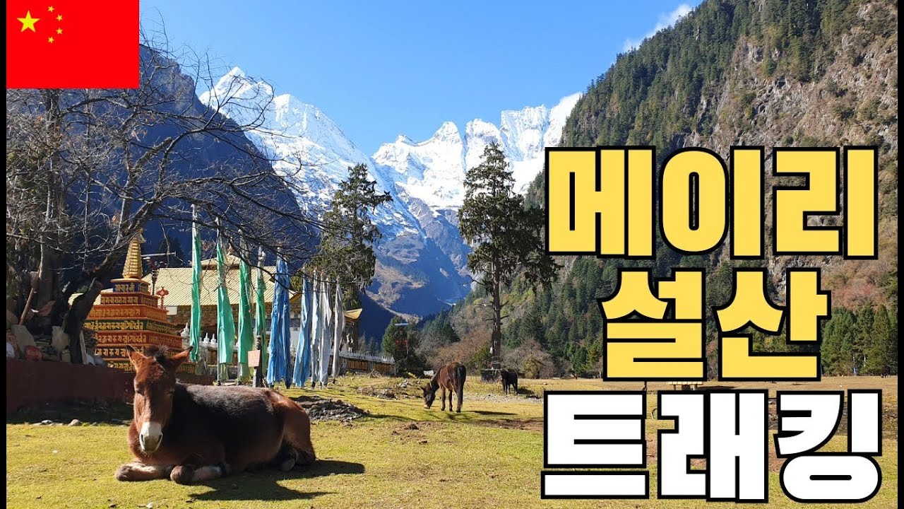 알프스, 히말라야보다 더 편하고 싸게 즐길 수 있는 메이리설산[윈난11]