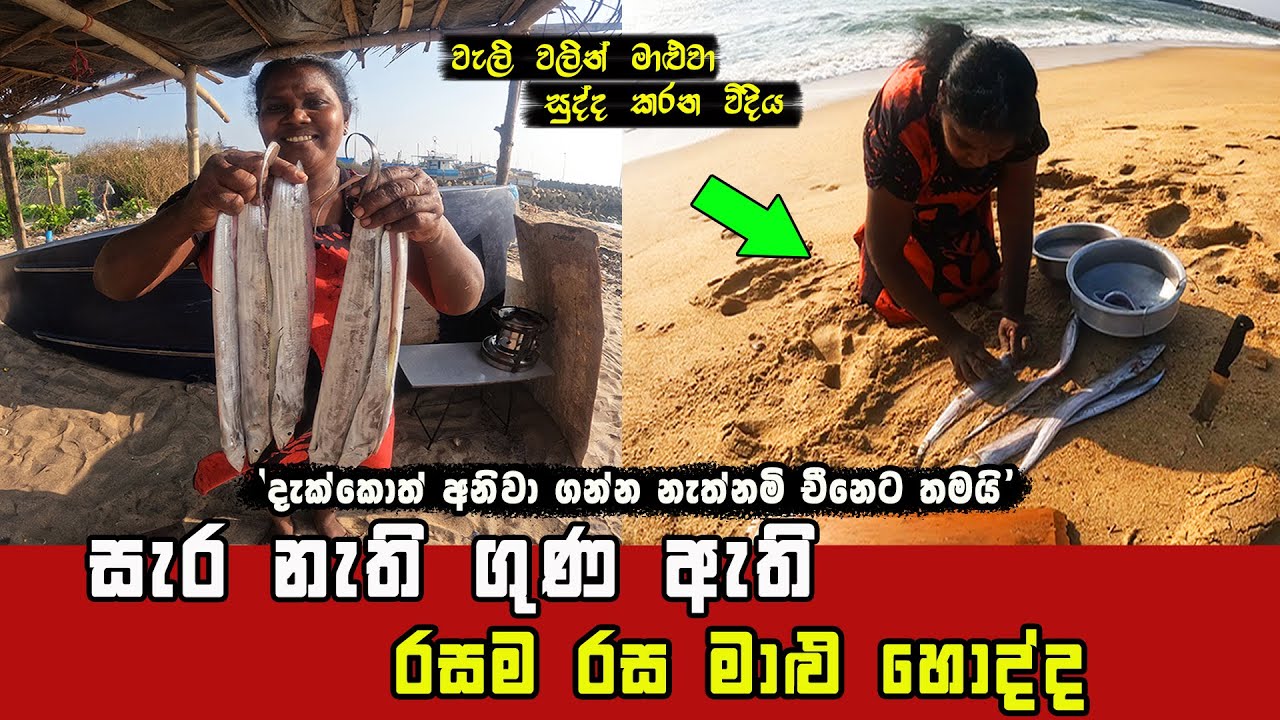 THE MOST DELICIOUS BELT FISH CURRY IS MUCH TASTIER WHEN IT COOK WITH MANGOES I SL Fisherman
