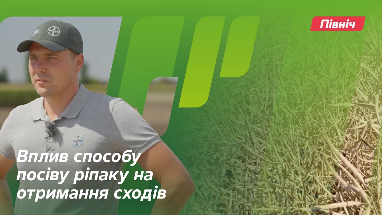 Вплив способу посіву ріпаку на отримання сходів // Досвід. АгроАрена Північ