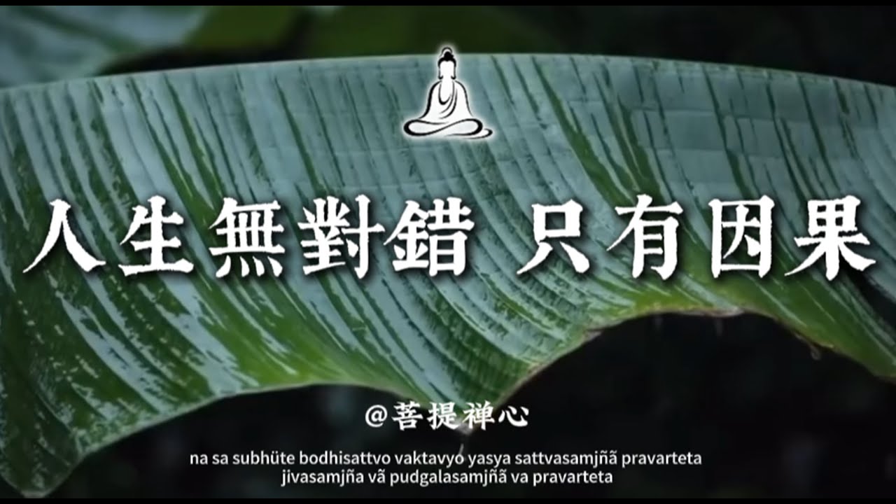 人生無對錯，只有因果🍃#修行#因果#佛学#人生感悟#修心修行#國學#治愈