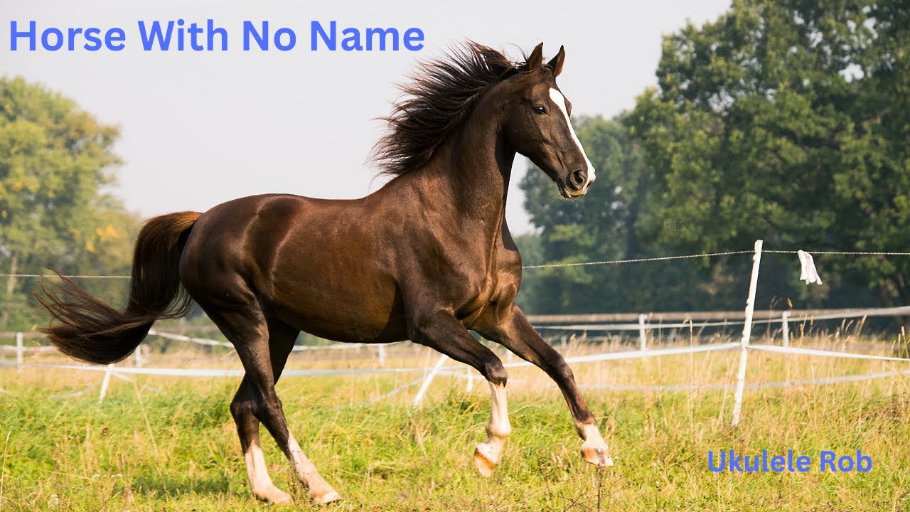 Horse With No Name [Baritone Ukulele ] cords & lyrics in Description.