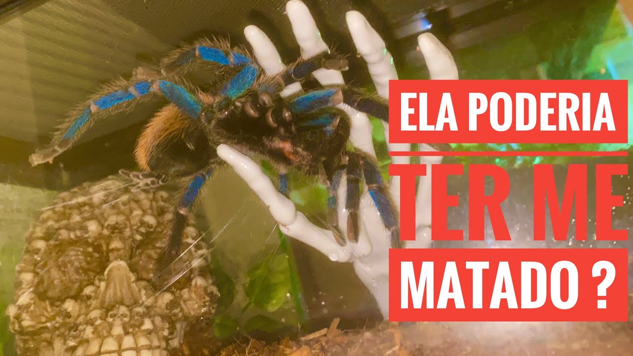 Fiz essa mudança para evitar ACIDENTES