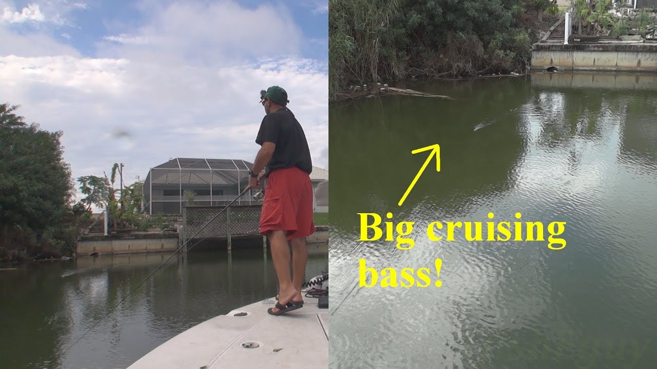 BIG SURFACE CRUISING BASS EXPLODES ON TOP WATER PROP BAIT - STRIKE IN SLOW MOTION HD