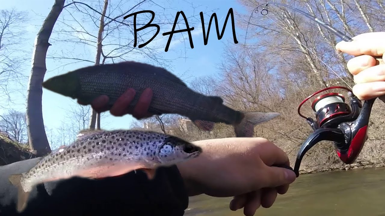 MAN KIMBA - street fishing'as Vilniuje 😲💪🌇