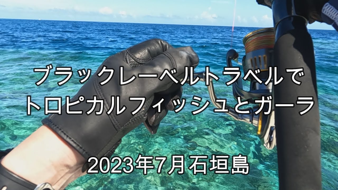 ブラックレーベルトラベルでガーラとトロピカルフィッシュ　石垣島