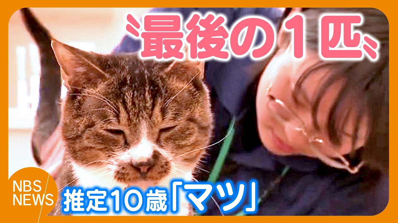 保護猫39匹の“最後の1匹”譲渡　17年ぶり保健所の収容の犬猫「ゼロ」に　職員がSNS投稿…縁つなぐ　長野市で多頭飼育崩壊…推定10歳「マツ」が千葉県の20代夫婦の家族に