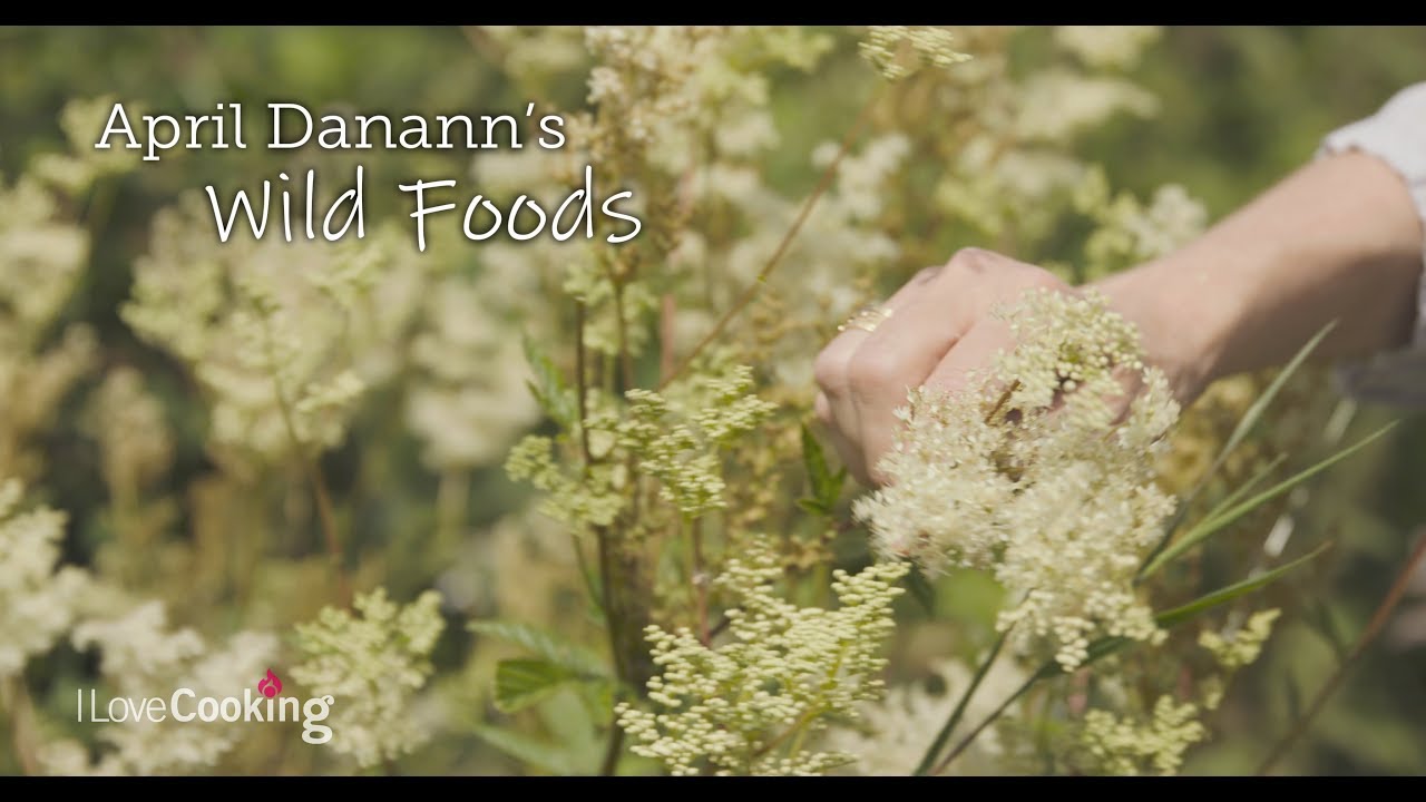 April Danann's Wild Foods