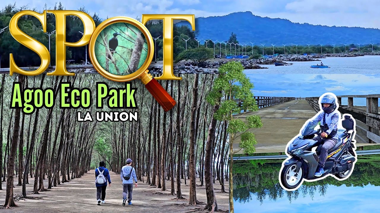 SPOTTED! Agoo Eco Park Walking Tour Forest Birdwatching Paradise: Protected Landscape & Seascape