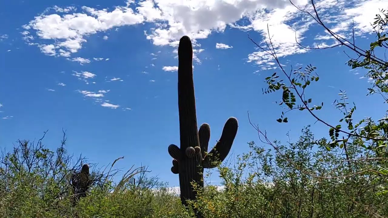 HIKING PIMA CANYON TRAIL TUCSON, ARIZONA.