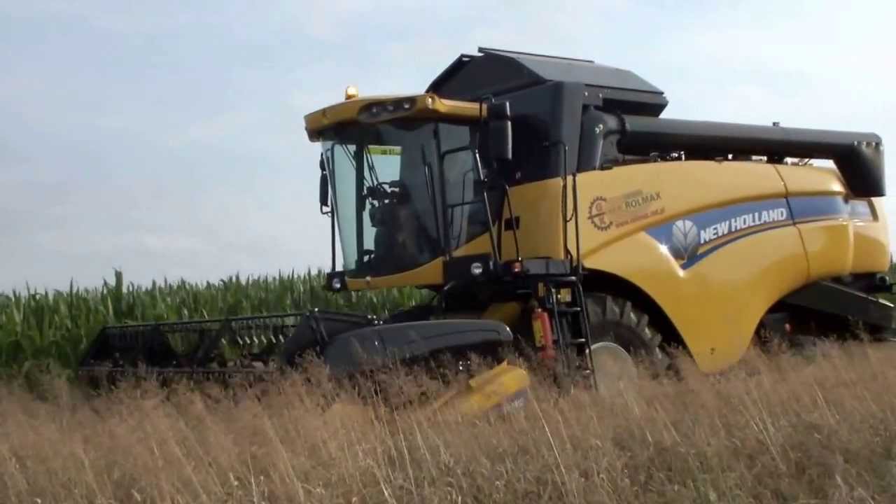 Zniwa 2013 I New Holland CX 5080 I pszenica ozima