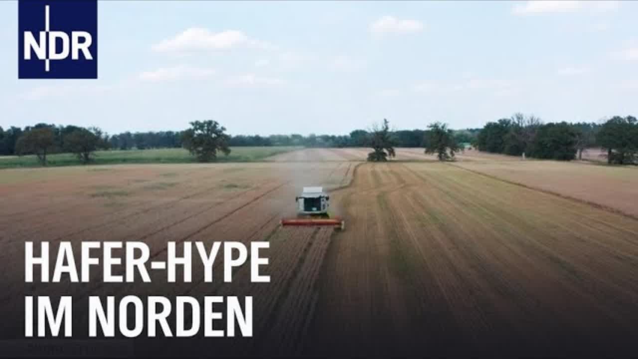 Getreide zum Trinken - Hafer-Hype im Norden | Die Nordreportage | NDR Doku
