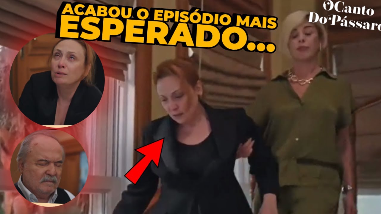 ISABELA EXPULSA! A GRANDE REVELAÇÃO que CHOCOU TODA A MANSÃO! O Canto do Pássaro