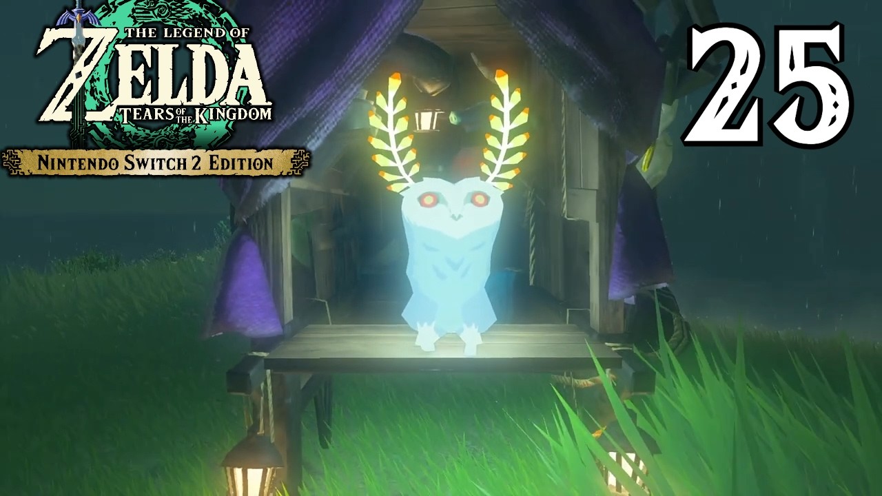 Tears of the Kingdom: Switch 2 Edition: Part 25