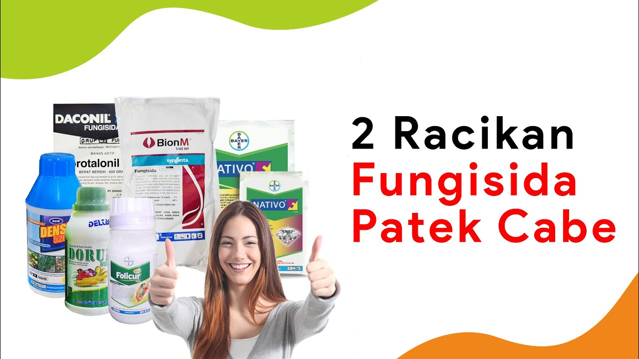2 Racikan Fungisida Mengobati Penyakit Patek Cabe