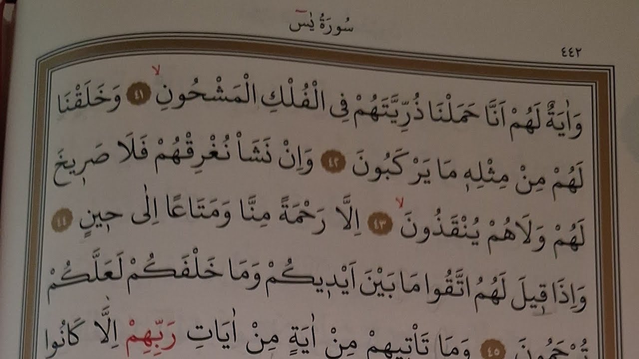 YASİN SURESİ 4. SAYFA TECVİD KURALLARI